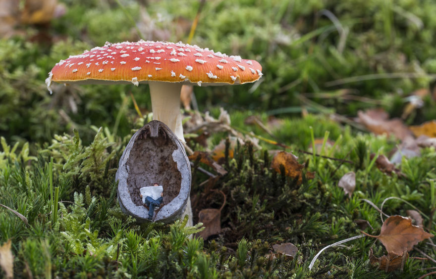 Reading Daily News In The Forest