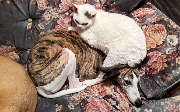 Who'da Thought My Butt Would Fit So Perfectly On Your Head!!