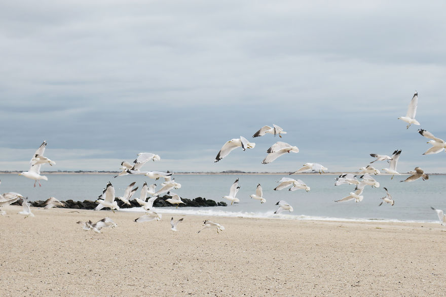 The Winter Melancholy Of A Summer Hotspot