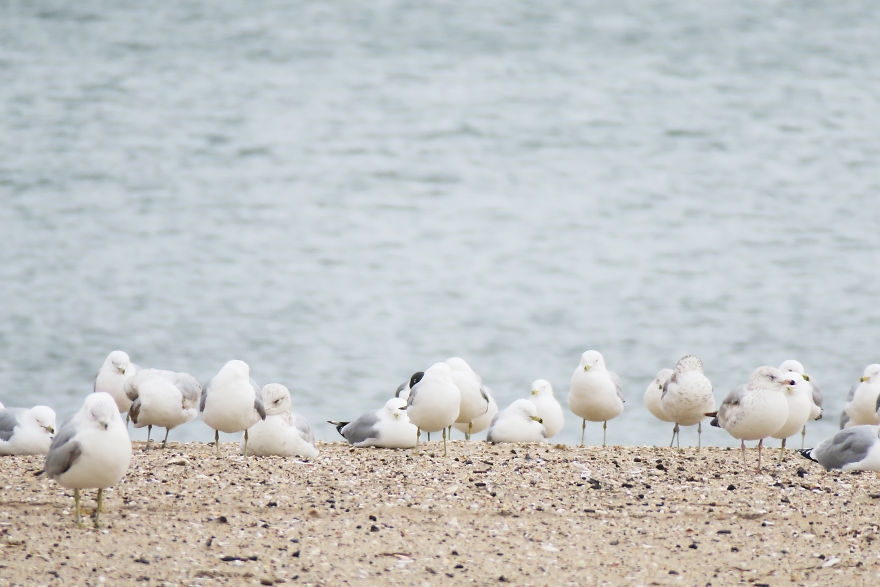 The Winter Melancholy Of A Summer Hotspot