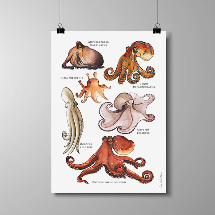 I Draw Animal Posters Using Pencils And Watercolors