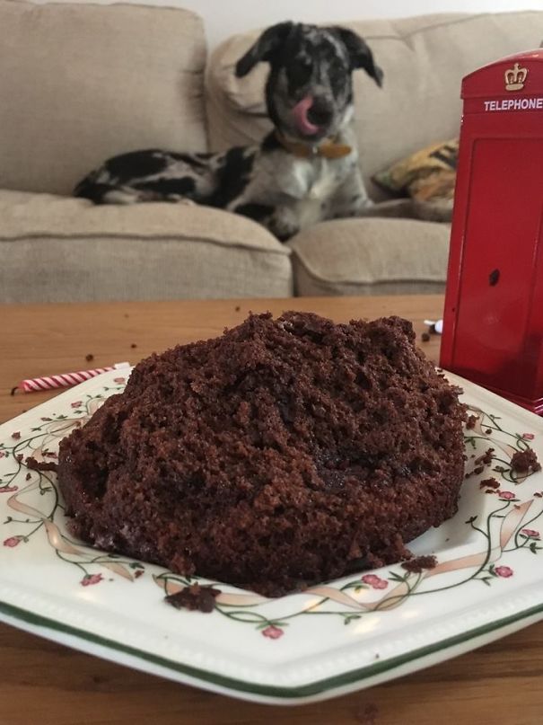 She Likes Birthday Cake...and Maybe Candles