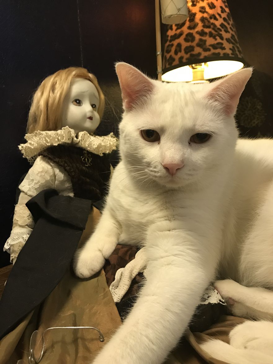 I Refurbish Old Dolls Into Creepy Halloween Decorations I Refurbish Old Dolls Into Creepy Halloween Decorations