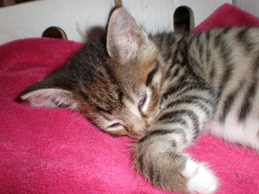 My Best Friend. My Best Friend.