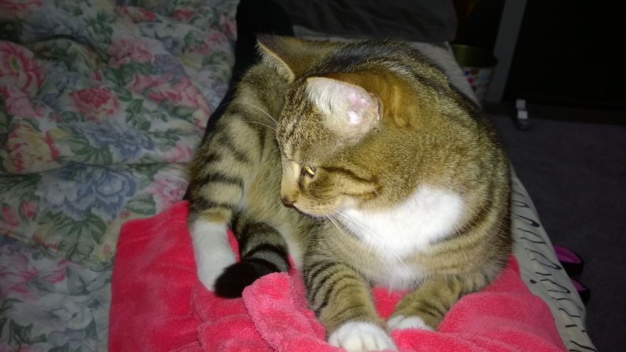 My Best Friend. My Best Friend.