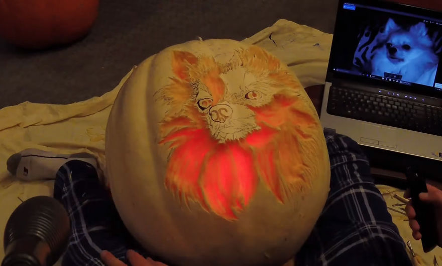 I Carved A Dog-O-Lantern That Looks Like My Pomeranian Sophie