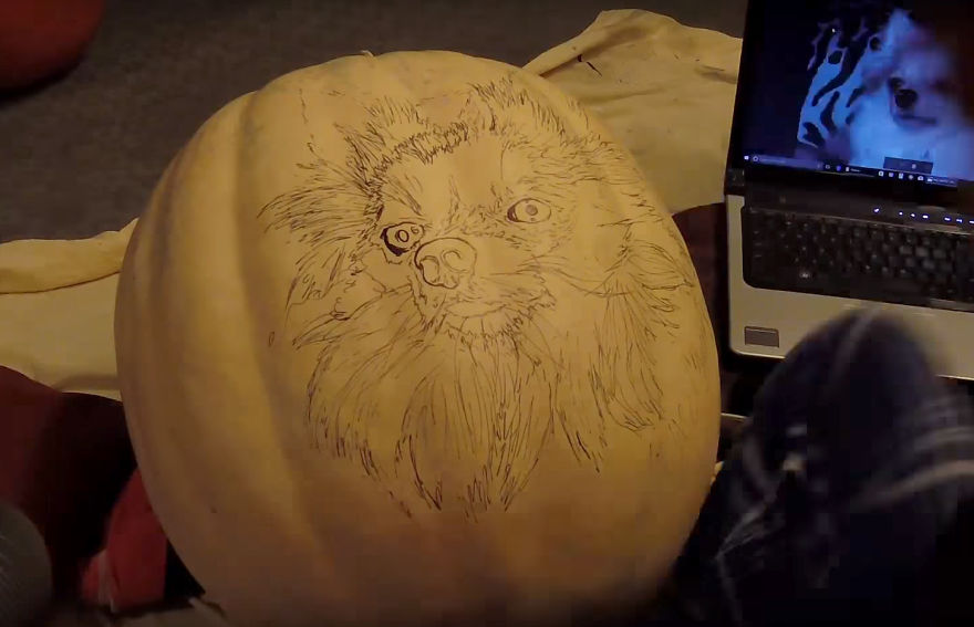 I Carved A Dog-O-Lantern That Looks Like My Pomeranian Sophie