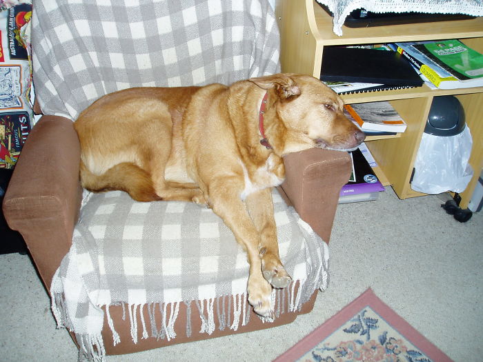 " Ahhh, Just Pefect, Sorry Mum".