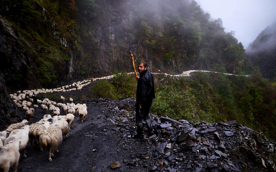 The Mountain Shepherds In Georgia