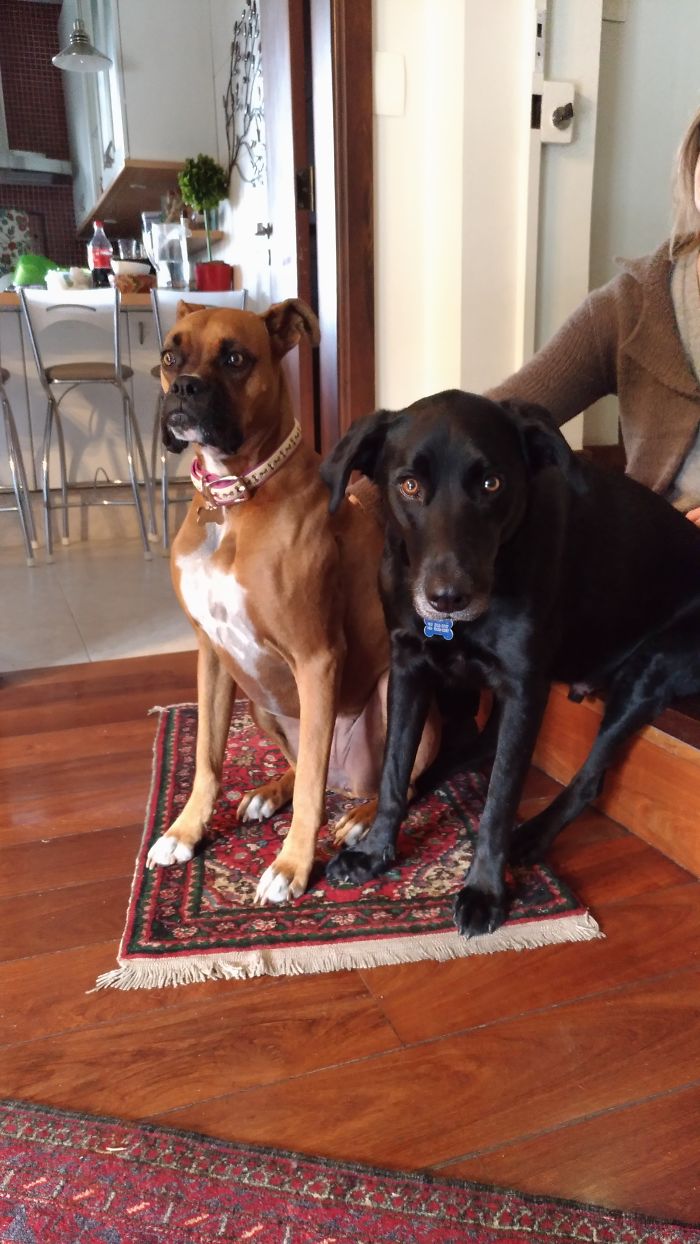 One Is Normal, The Other Not So Much.