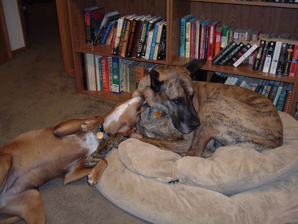 Why Won't You Play With Me?