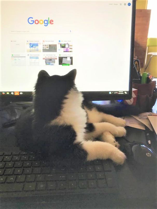 Why I Get No Work Done.