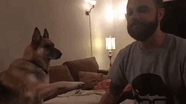 Hey, Hey. For Real This Time