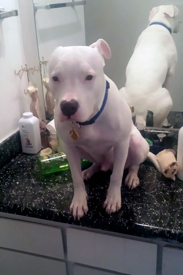 I Stepped Out For 3 Minutes, Came Back And Found Him Like This