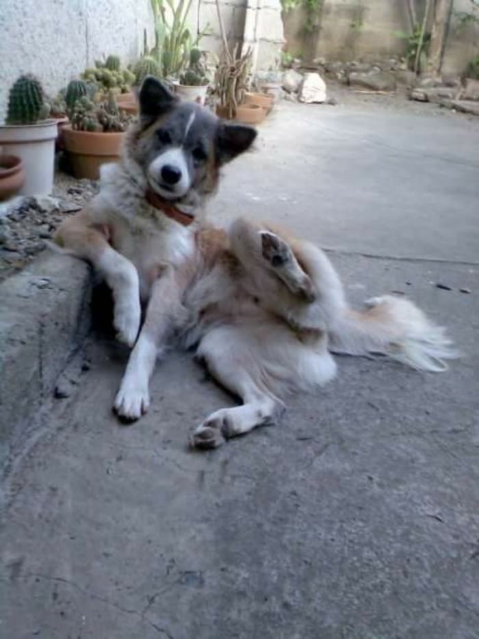 "Well....? Talk To The Paw."