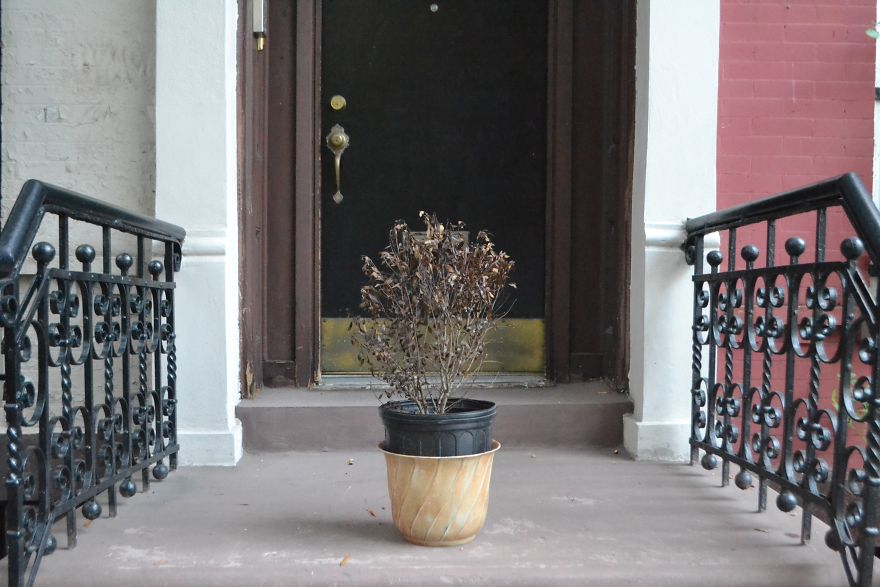 Interactive Street Art (10+)