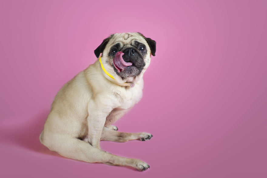 Gigi Again Because I Love Her So Much