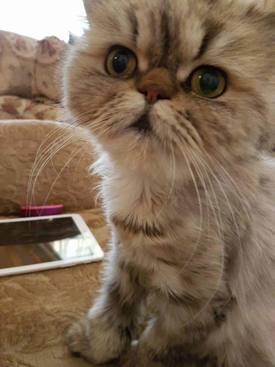 No More Abuse For This Beautiful Girl