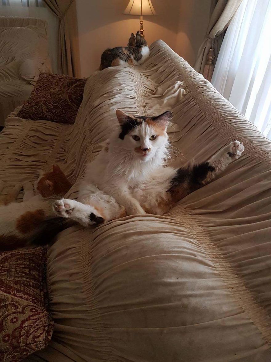 What Are You Looking At?