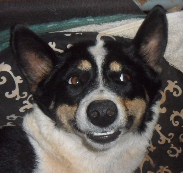 That Face When You Don't Do Photos..