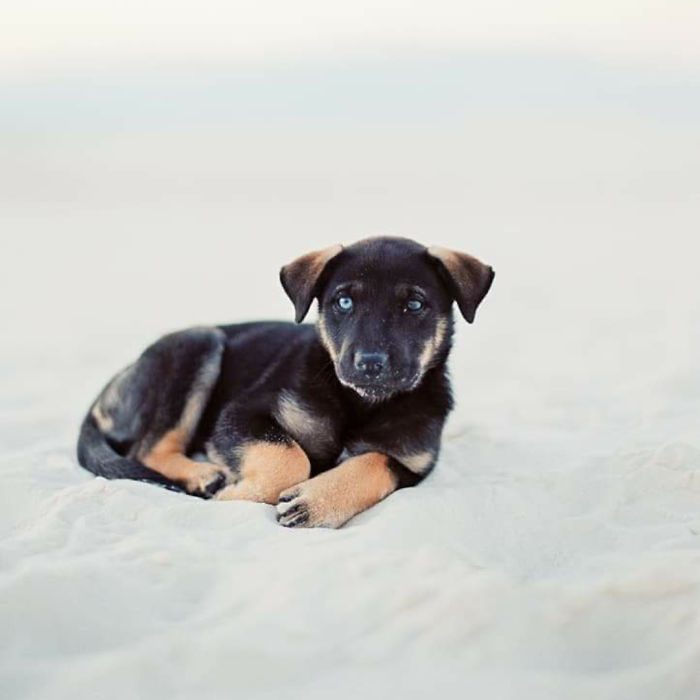 Driving In New Mexico After A Wedding Shoot