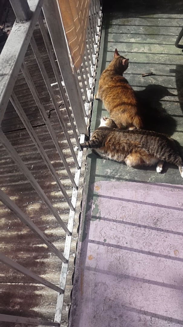 They're Both Jerks. One Doesn't Want To Cuddle And The Other Knows That.