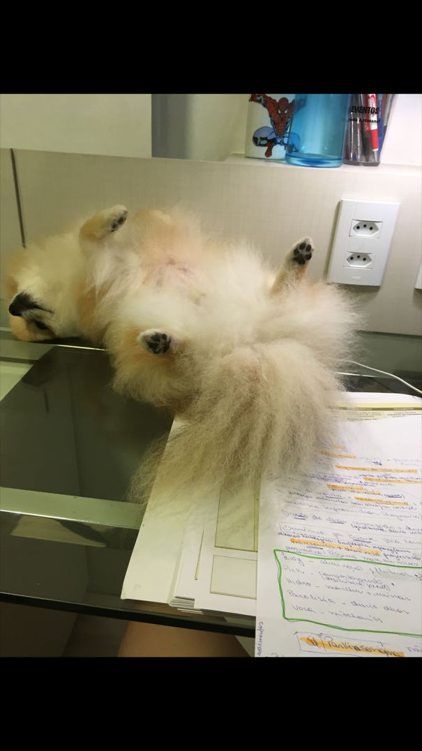 No Mommy, No More Study Today!