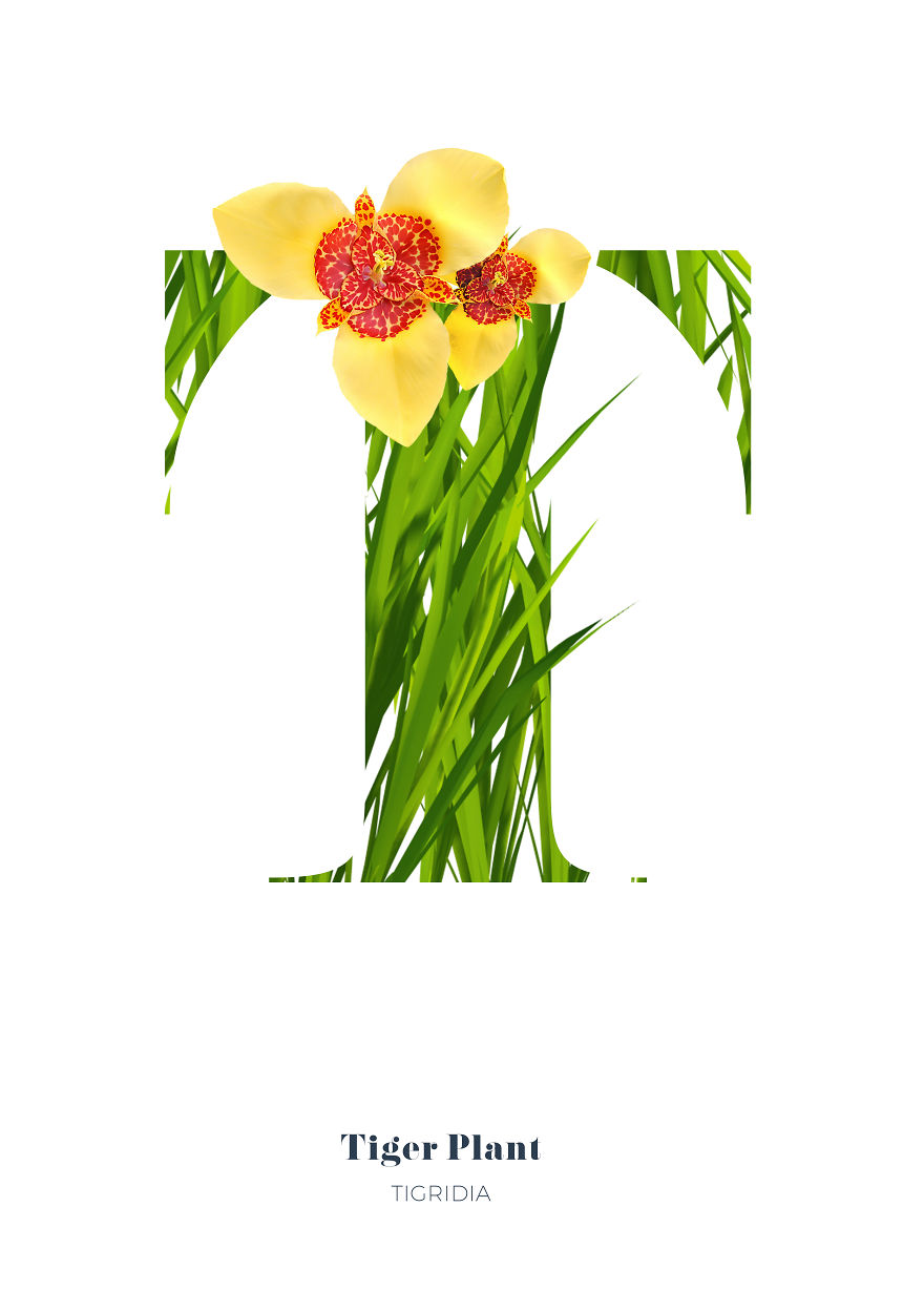 I Wanted To See What The Alphabet Would Look Like Made Out Of Flowers