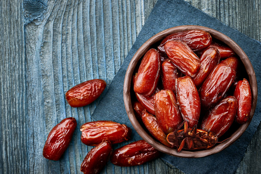 The Cockroach Diaries The Cockroach Diaries