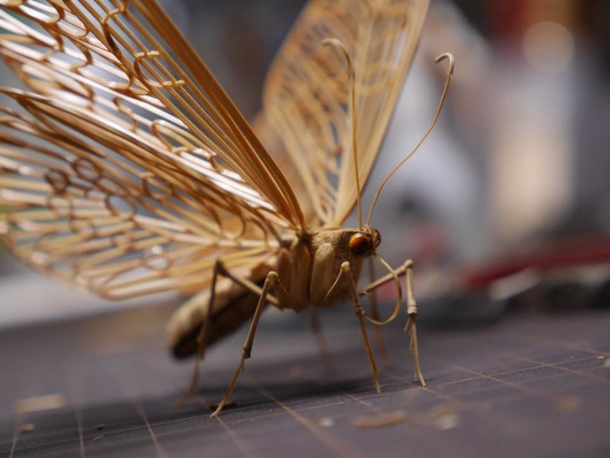 Japanese Artist Creates Incredibly Intricate Life-Size Insects From Bamboo, And The Result Will Impress You Japanese Artist Creates Incredibly Intricate Life-Size Insects From Bamboo, And The Result Will Impress You