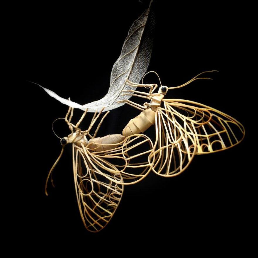 Japanese Artist Creates Incredibly Intricate Life-Size Insects From Bamboo, And The Result Will Impress You Japanese Artist Creates Incredibly Intricate Life-Size Insects From Bamboo, And The Result Will Impress You
