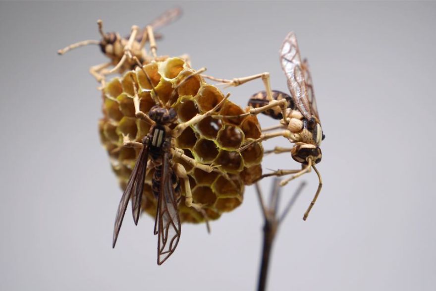 Japanese Artist Creates Incredibly Intricate Life-Size Insects From Bamboo, And The Result Will Impress You Japanese Artist Creates Incredibly Intricate Life-Size Insects From Bamboo, And The Result Will Impress You