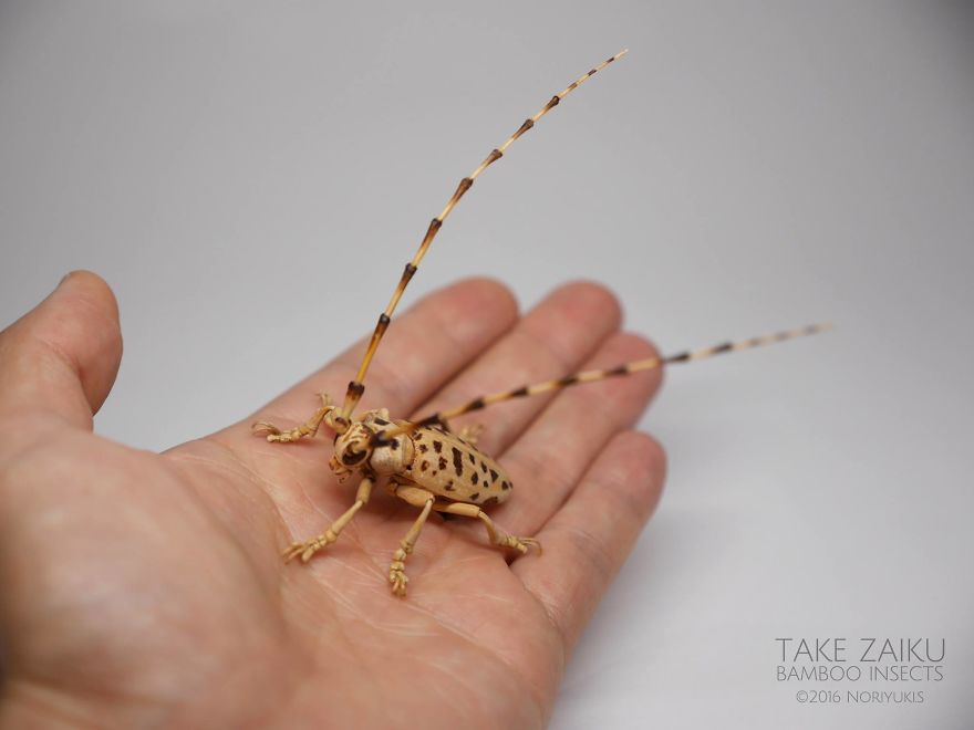Japanese Artist Creates Incredibly Intricate Life-Size Insects From Bamboo, And The Result Will Impress You Japanese Artist Creates Incredibly Intricate Life-Size Insects From Bamboo, And The Result Will Impress You