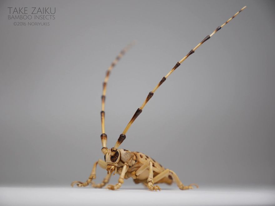 Japanese Artist Creates Incredibly Intricate Life-Size Insects From Bamboo, And The Result Will Impress You Japanese Artist Creates Incredibly Intricate Life-Size Insects From Bamboo, And The Result Will Impress You
