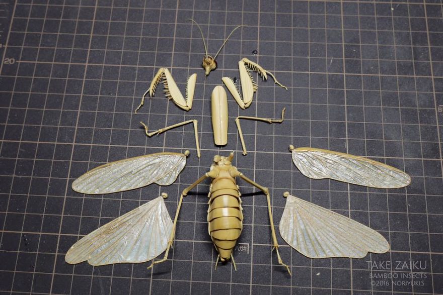 Japanese Artist Creates Incredibly Intricate Life-Size Insects From Bamboo, And The Result Will Impress You Japanese Artist Creates Incredibly Intricate Life-Size Insects From Bamboo, And The Result Will Impress You