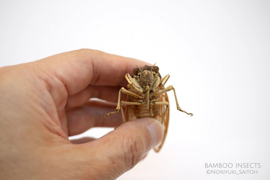 Japanese Artist Creates Incredibly Intricate Life-Size Insects From Bamboo, And The Result Will Impress You Japanese Artist Creates Incredibly Intricate Life-Size Insects From Bamboo, And The Result Will Impress You