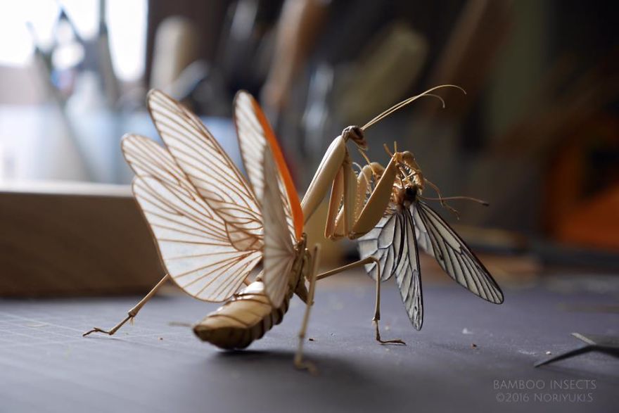 Japanese Artist Creates Incredibly Intricate Life-Size Insects From Bamboo, And The Result Will Impress You Japanese Artist Creates Incredibly Intricate Life-Size Insects From Bamboo, And The Result Will Impress You