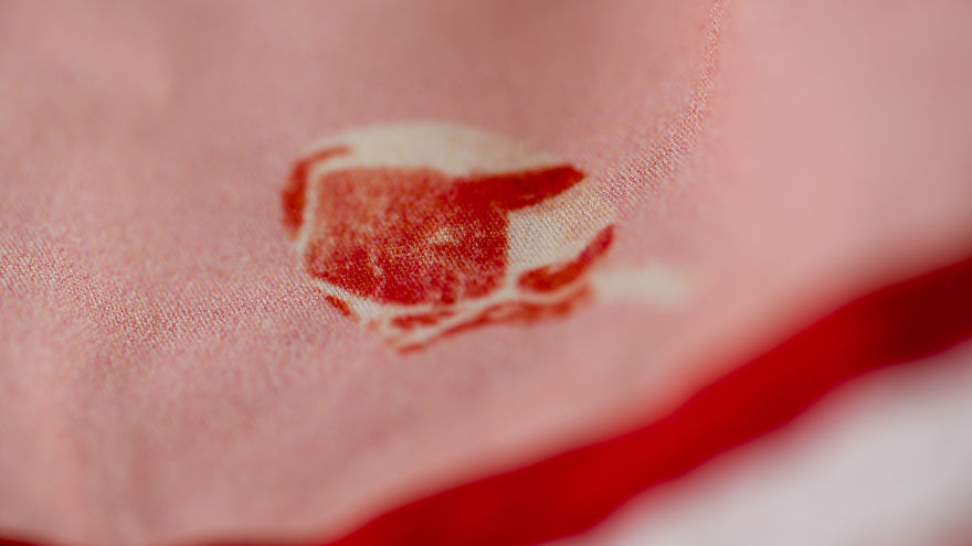 The Pattern Of This Dirndl Is Made Out Of Meat And Sausages