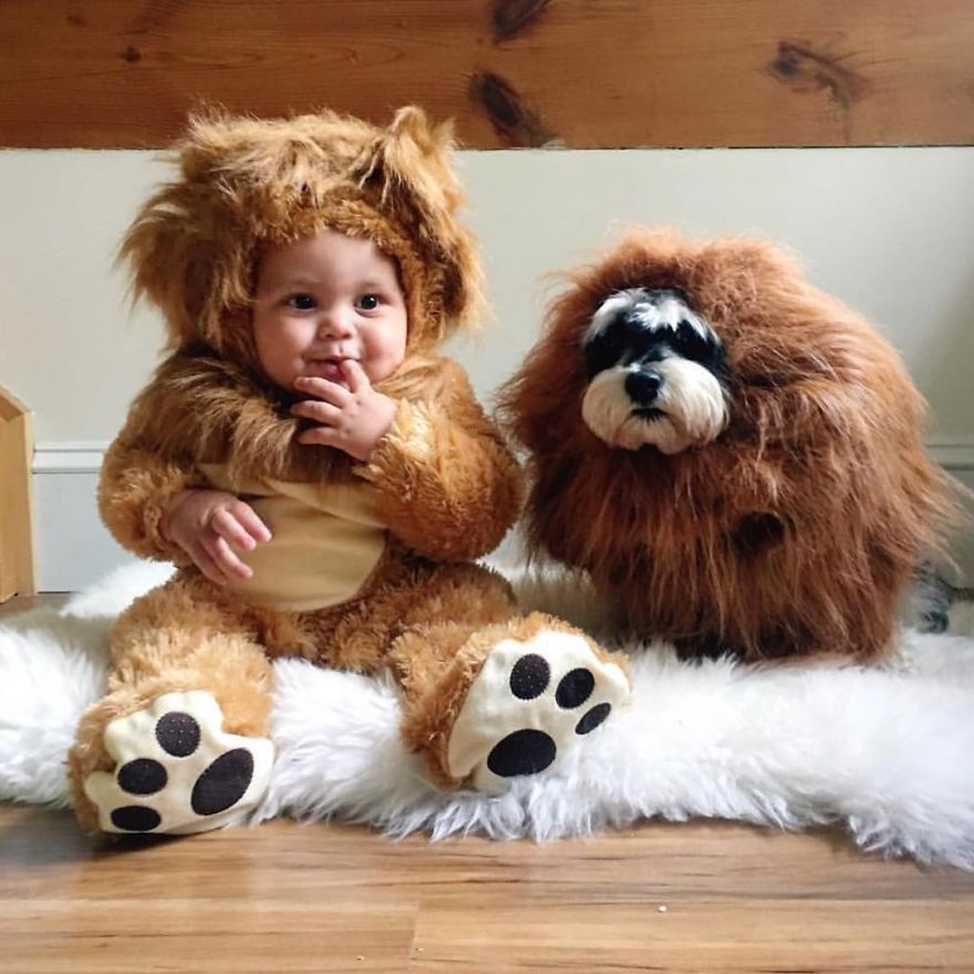 Cutest Lions