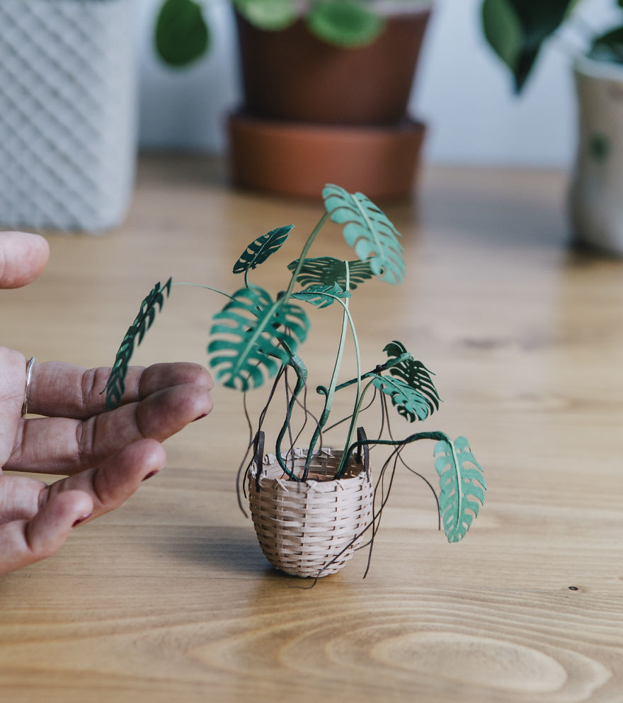 Tiny Terrariums With Miniature Paper Plants, Blooming Cacti And Flowers