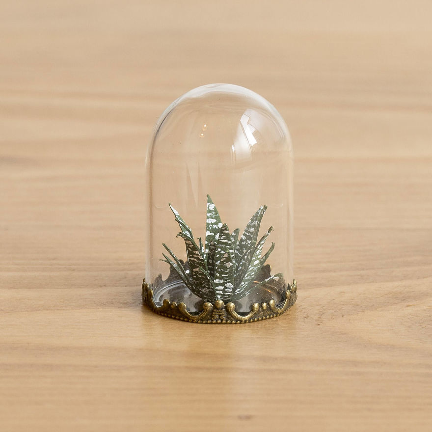 Tiny Terrariums With Miniature Paper Plants, Blooming Cacti And Flowers