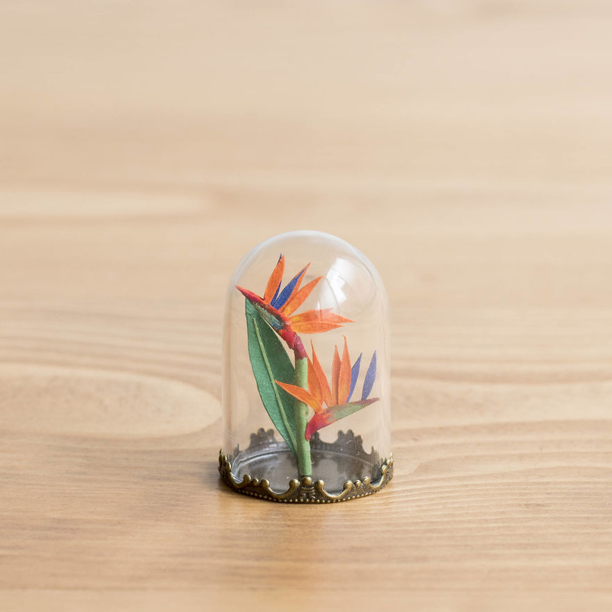 Tiny Terrariums With Miniature Paper Plants, Blooming Cacti And Flowers