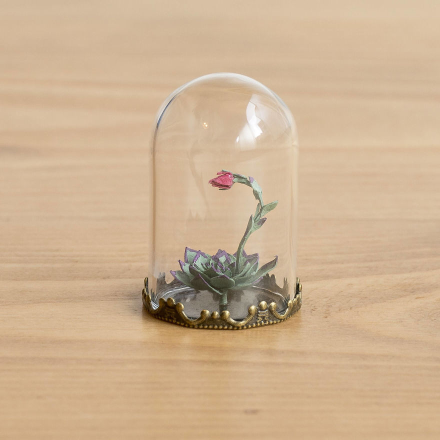 Tiny Terrariums With Miniature Paper Plants, Blooming Cacti And Flowers