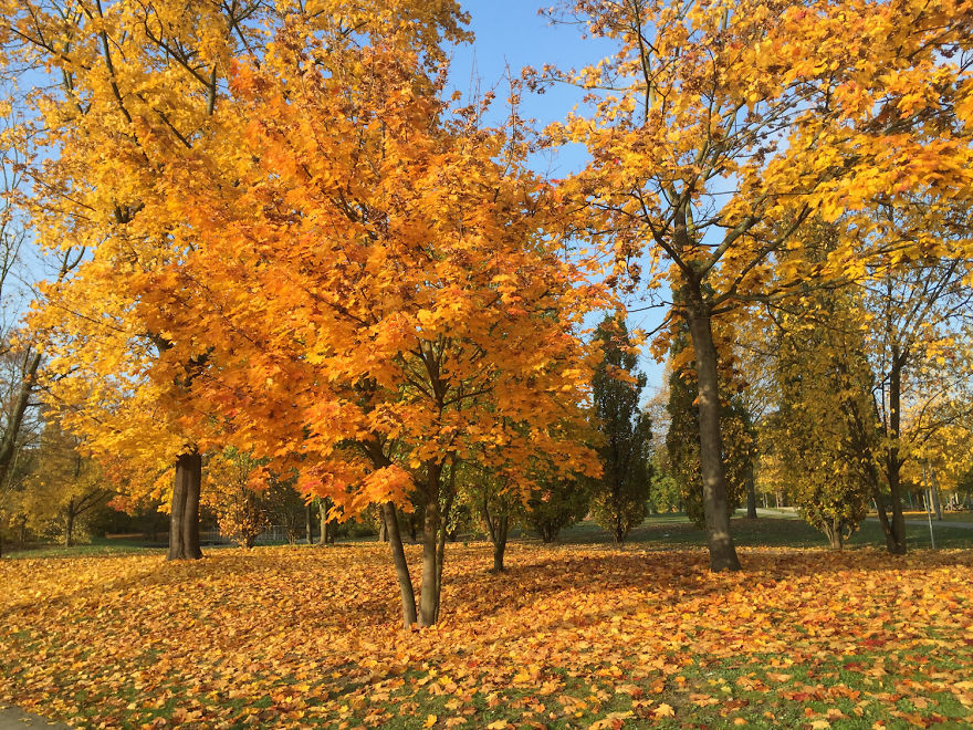 Travel Bloggers Share Their Favorite Fall Destinations To Make You Fall In Love With This Vibrant Season Travel Bloggers Share Their Favorite Fall Destinations To Make You Fall In Love With This Vibrant Season