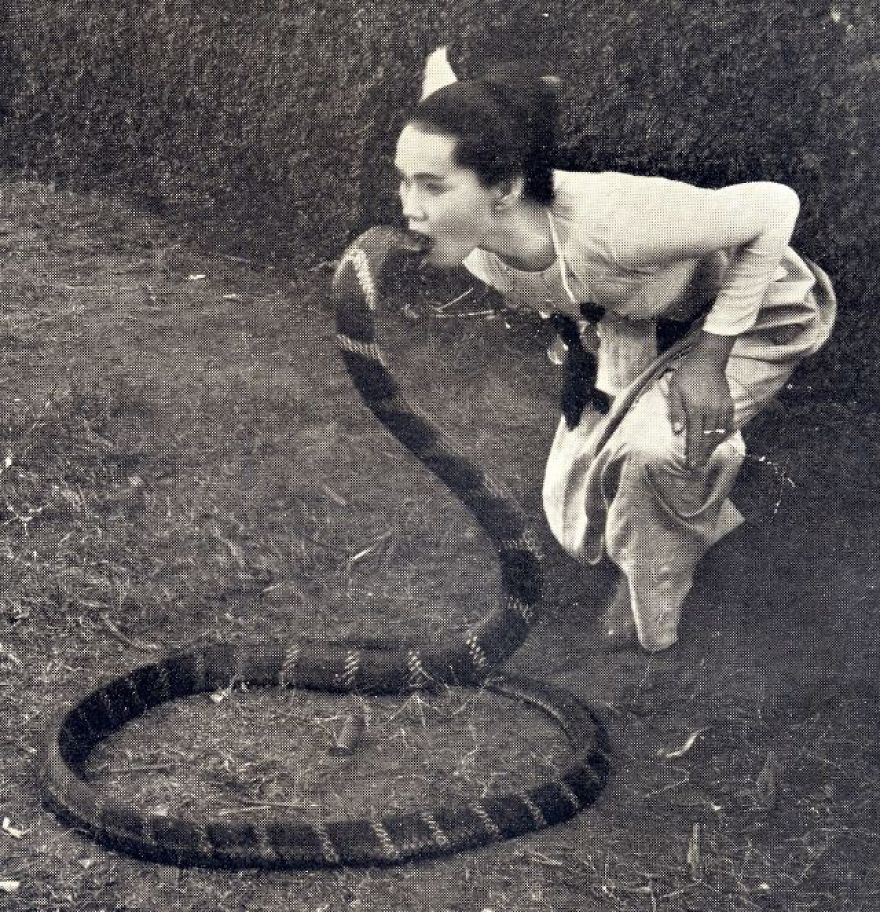These Vintage Photographs Showing The Relationship Between Animals And People Will Surprise You