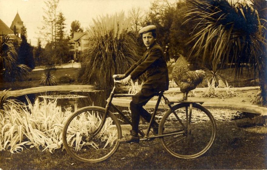 These Vintage Photographs Showing The Relationship Between Animals And People Will Surprise You