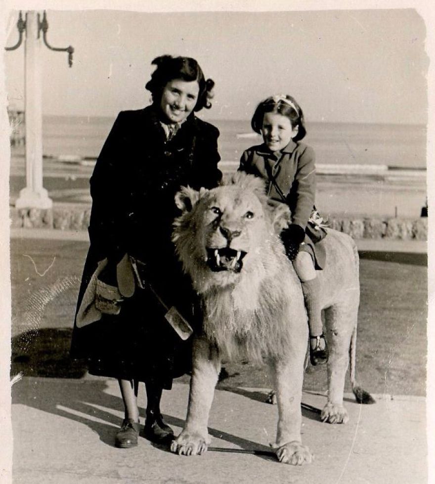 These Vintage Photographs Showing The Relationship Between Animals And People Will Surprise You