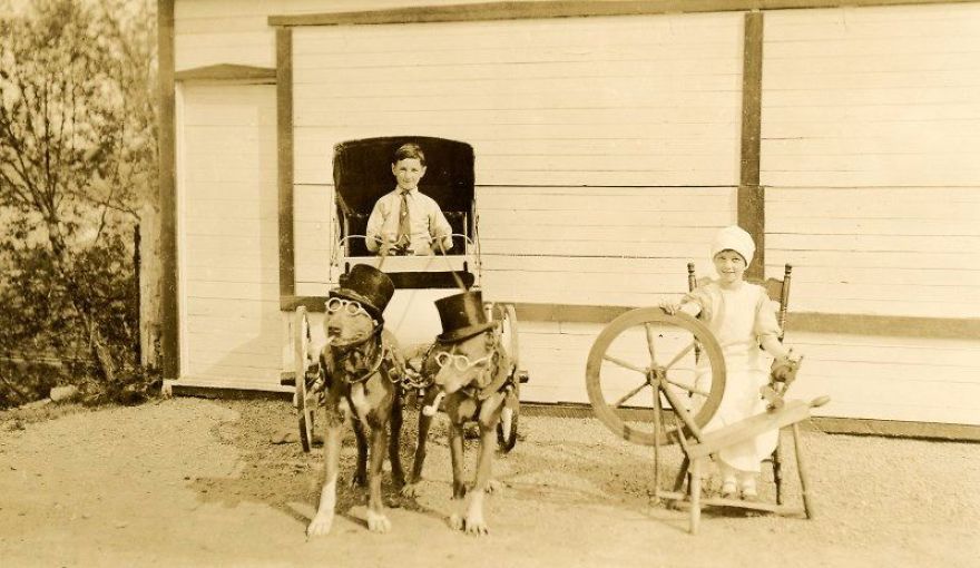 These Vintage Photographs Showing The Relationship Between Animals And People Will Surprise You