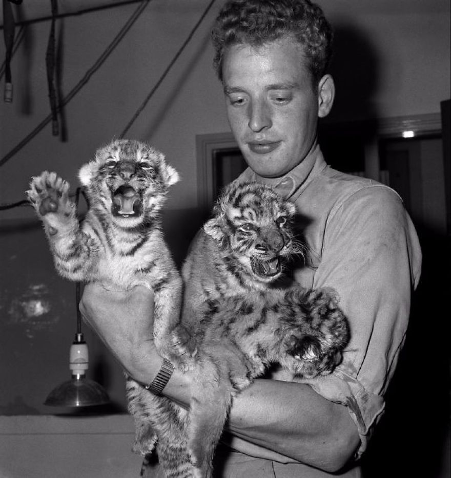 These Vintage Photographs Showing The Relationship Between Animals And People Will Surprise You