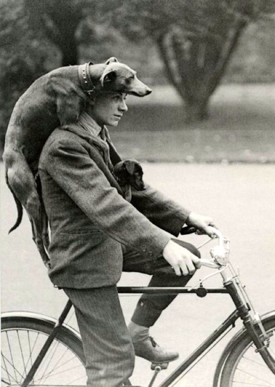 These Vintage Photographs Showing The Relationship Between Animals And People Will Surprise You